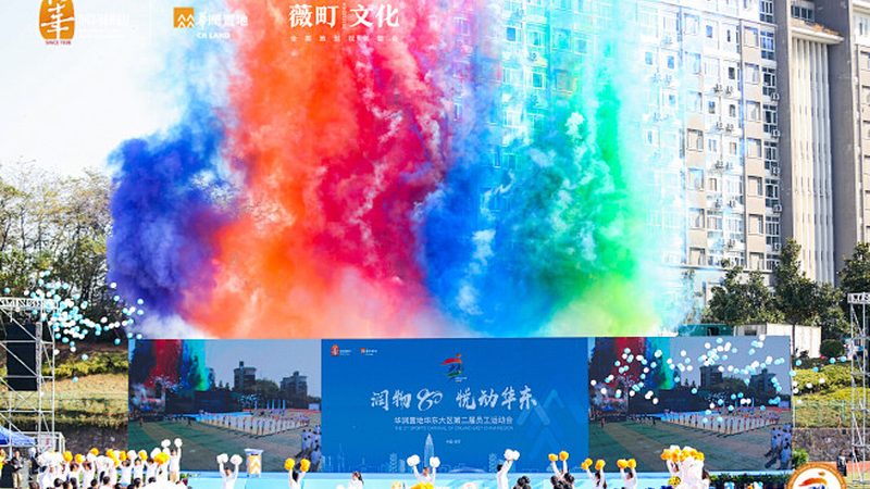 VI设计费用揭秘：了解这些项目，避免不必要的开支